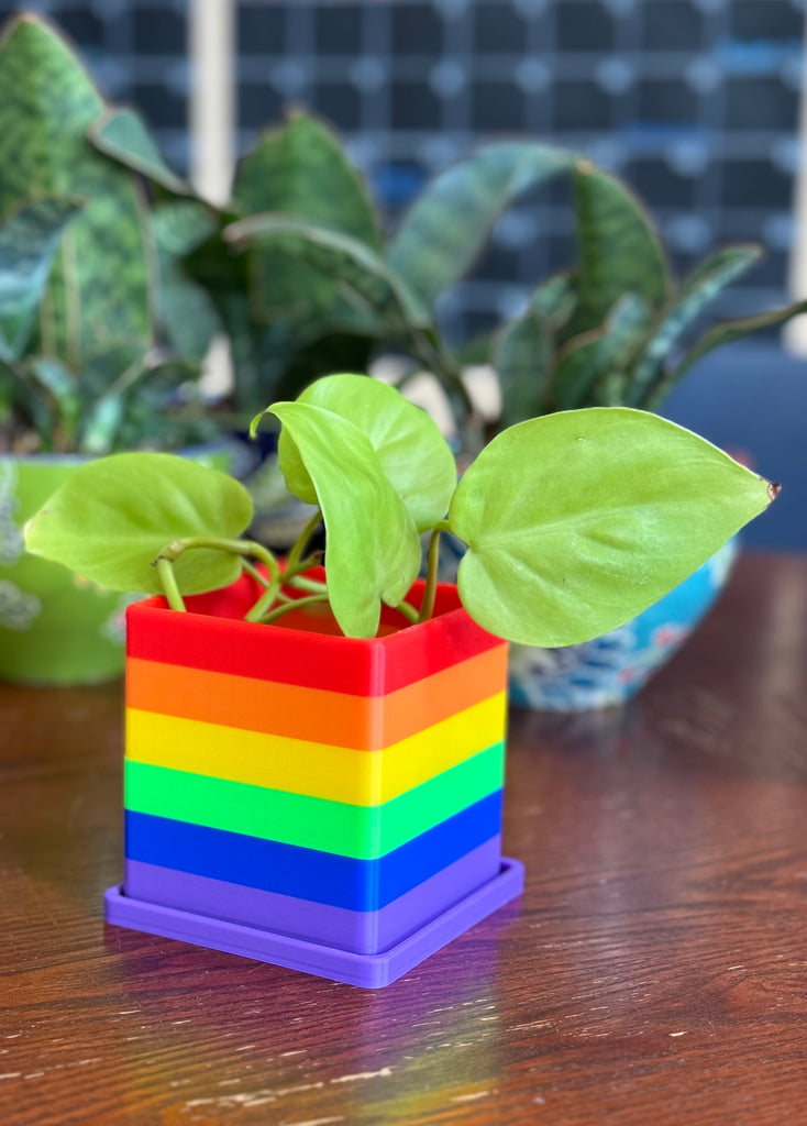 Rainbow Planter 3D Printed, planter,  Unicorn Feed and Supply