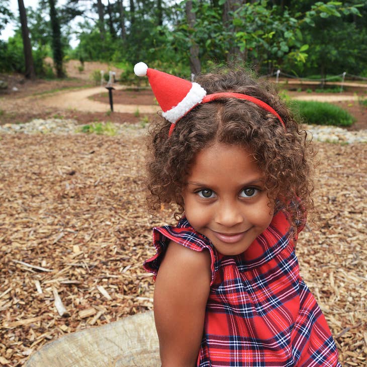 Santa Hat Headband, Toys,  Unicorn Feed and Supply