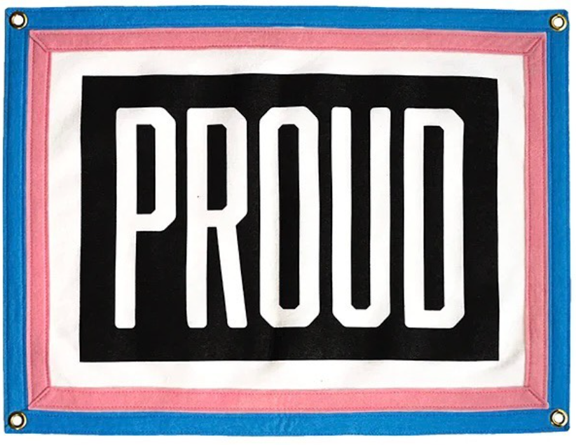 Proud Trans Camp Flag, Flag,  Unicorn Feed and Supply