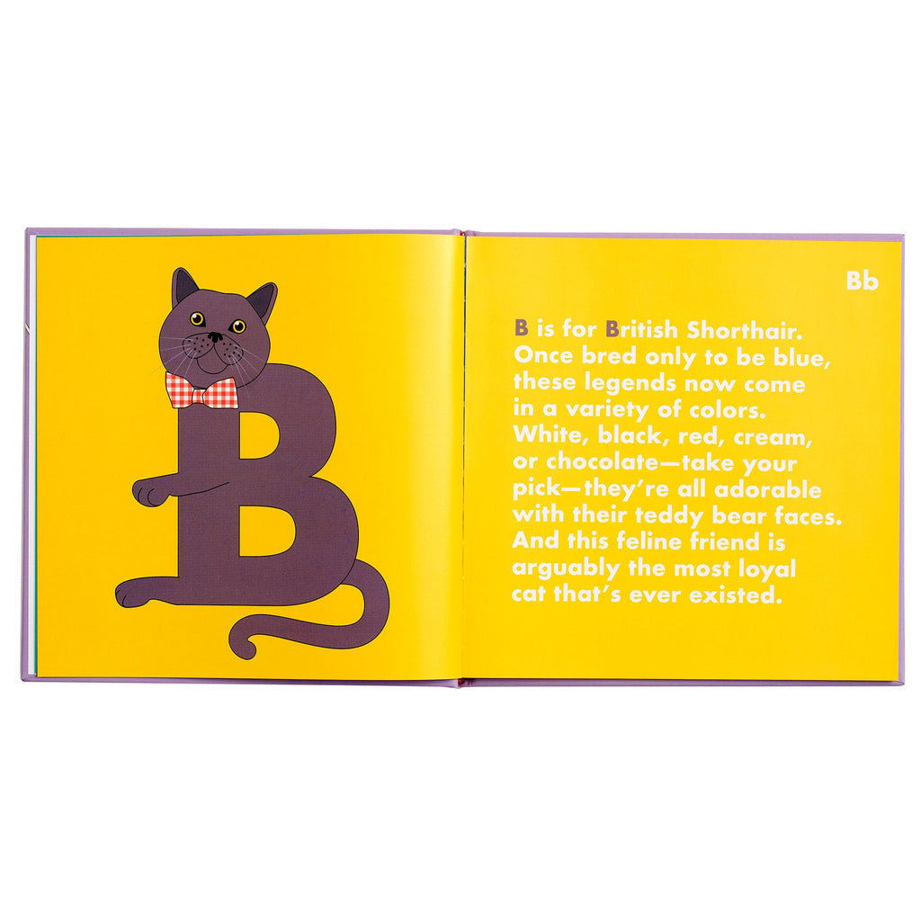 Cat Alphabet Book, Book,  Unicorn Feed and Supply