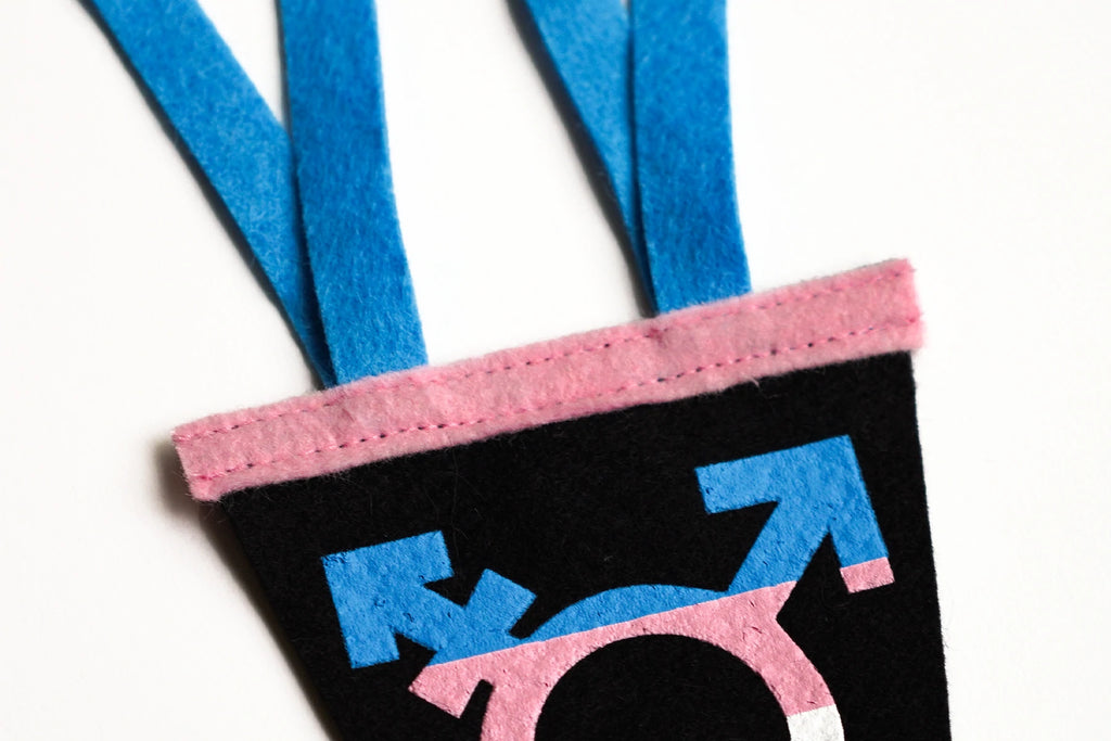 Trans Proud Mini Pennant, wall hanging,  Unicorn Feed and Supply