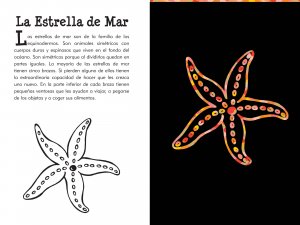 Bajo el Mar (Under The Sea) Scratch and Sketch, games & activities,  Unicorn Feed and Supply