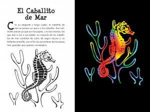 Bajo el Mar (Under The Sea) Scratch and Sketch, games & activities,  Unicorn Feed and Supply